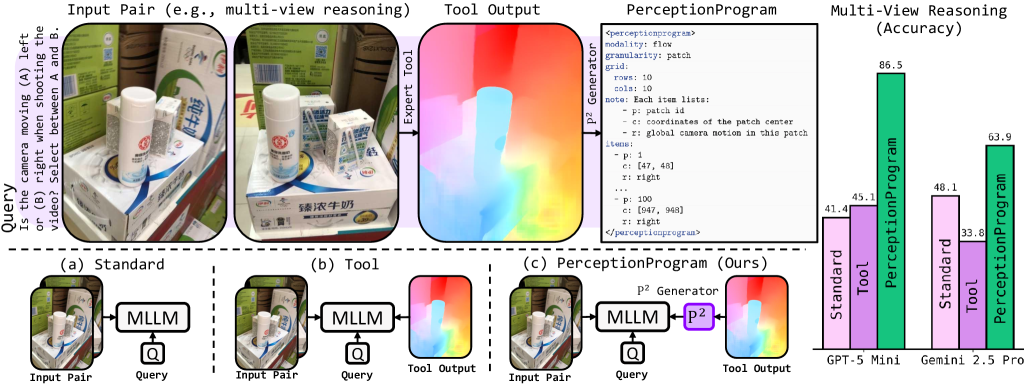 Don't Show Pixels, Show Cues Unlocking Visual Tool Reasoning in Language Models via Perception Programs