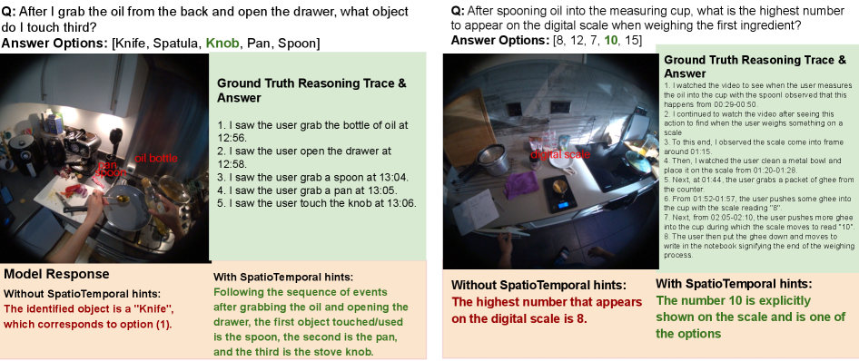 Minerva-Ego: Spatiotemporal Hints for Egocentric Video Understanding