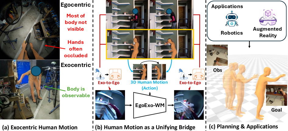 EgoExo-WM: Unlocking Exo Video for Ego World Models