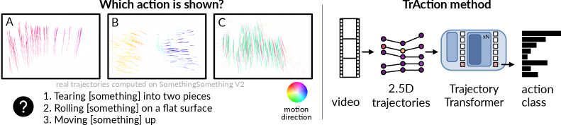 2606.03490v1_TrAction