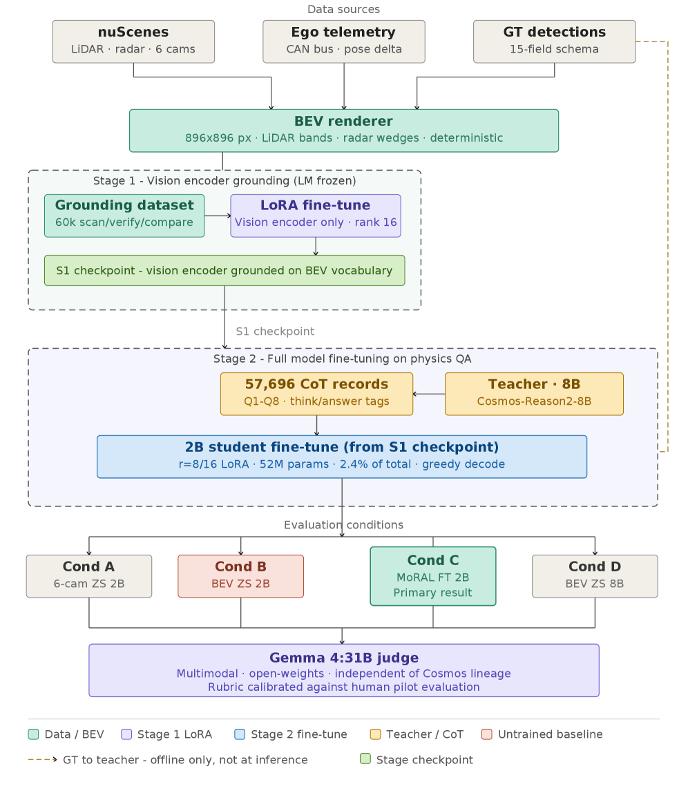 MoRAL: Sensor-Grounded BEV Reasoning for Compact VLMs toward Edge-Oriented Autonomous Driving