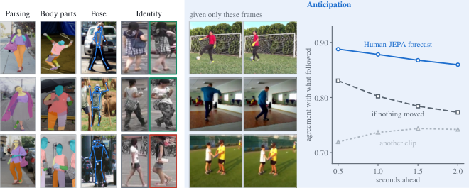 Human-JEPA: A Human-Centric Vision Model that Perceives and Anticipates