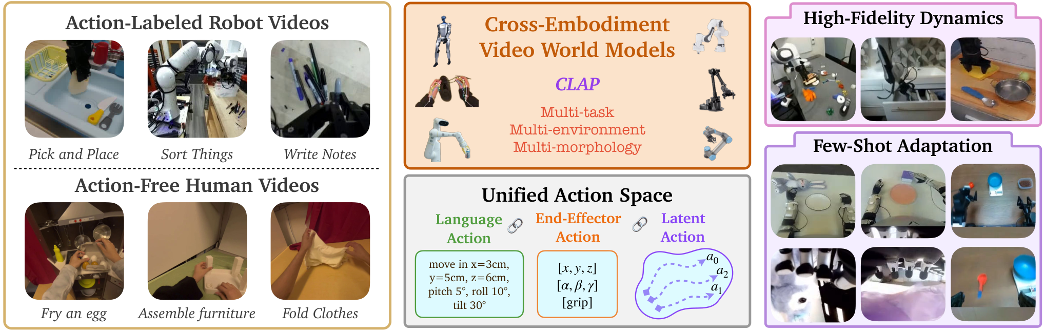 CLAP: Cross-Embodiment Video World Models are Zero-Shot Physical Simulators