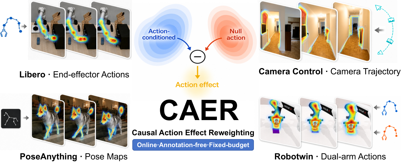 CAER: Causal Action Effect Reweighting for World Model Training