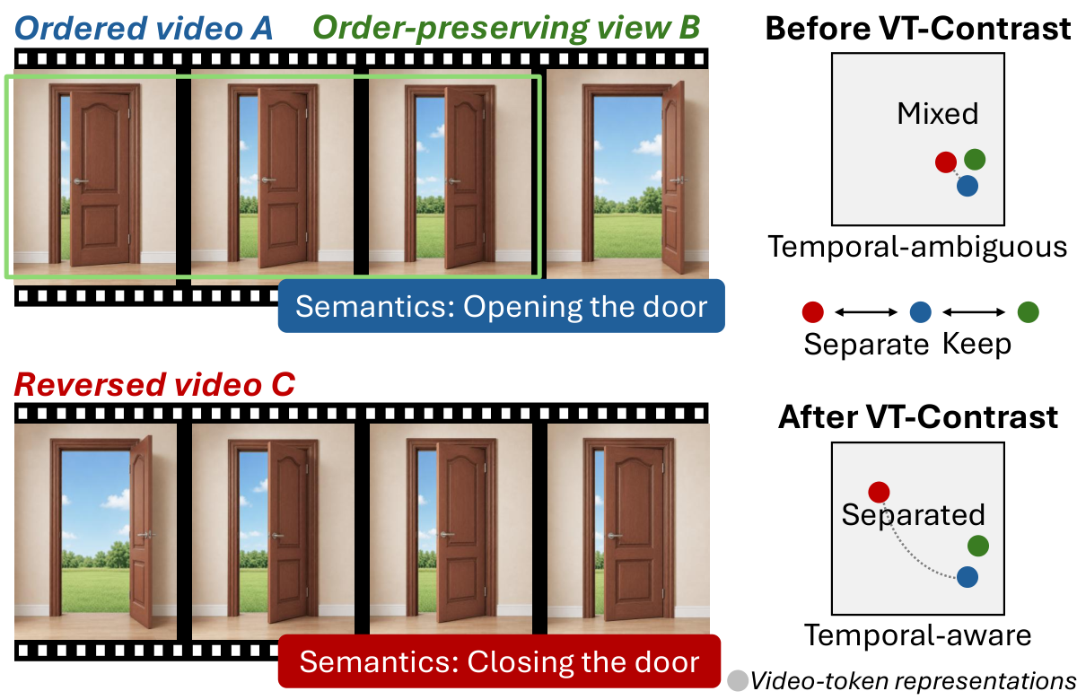 The Shape of Time: Video-Token Contrast for Temporal Understanding in VideoLMs
