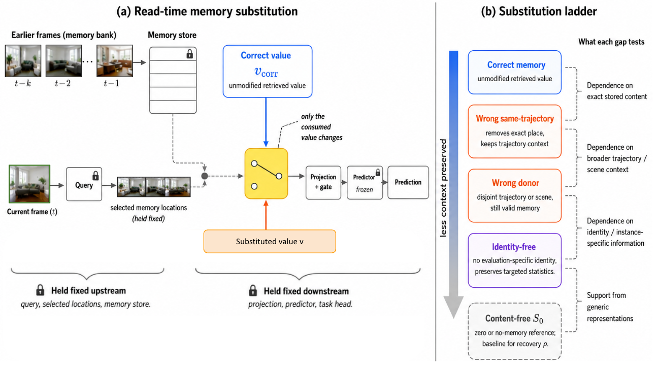 Does Video Memory Use What It Retrieves? A Causal Audit of Memory Specificity