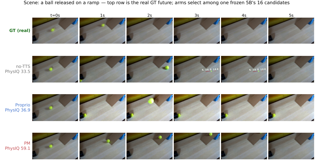 Sampling headroom is not selection gain: a compute-value audit of test-time scaling for video world models