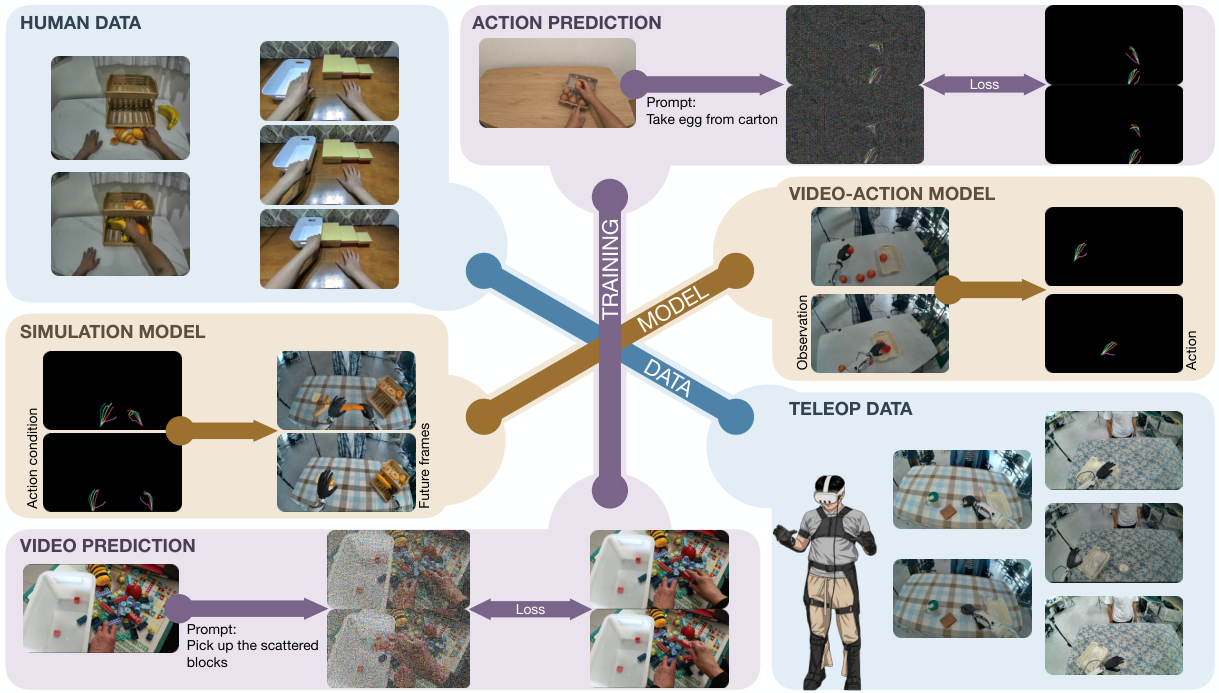XPACE: Joint World and Action Modeling from Heterogeneous Experience